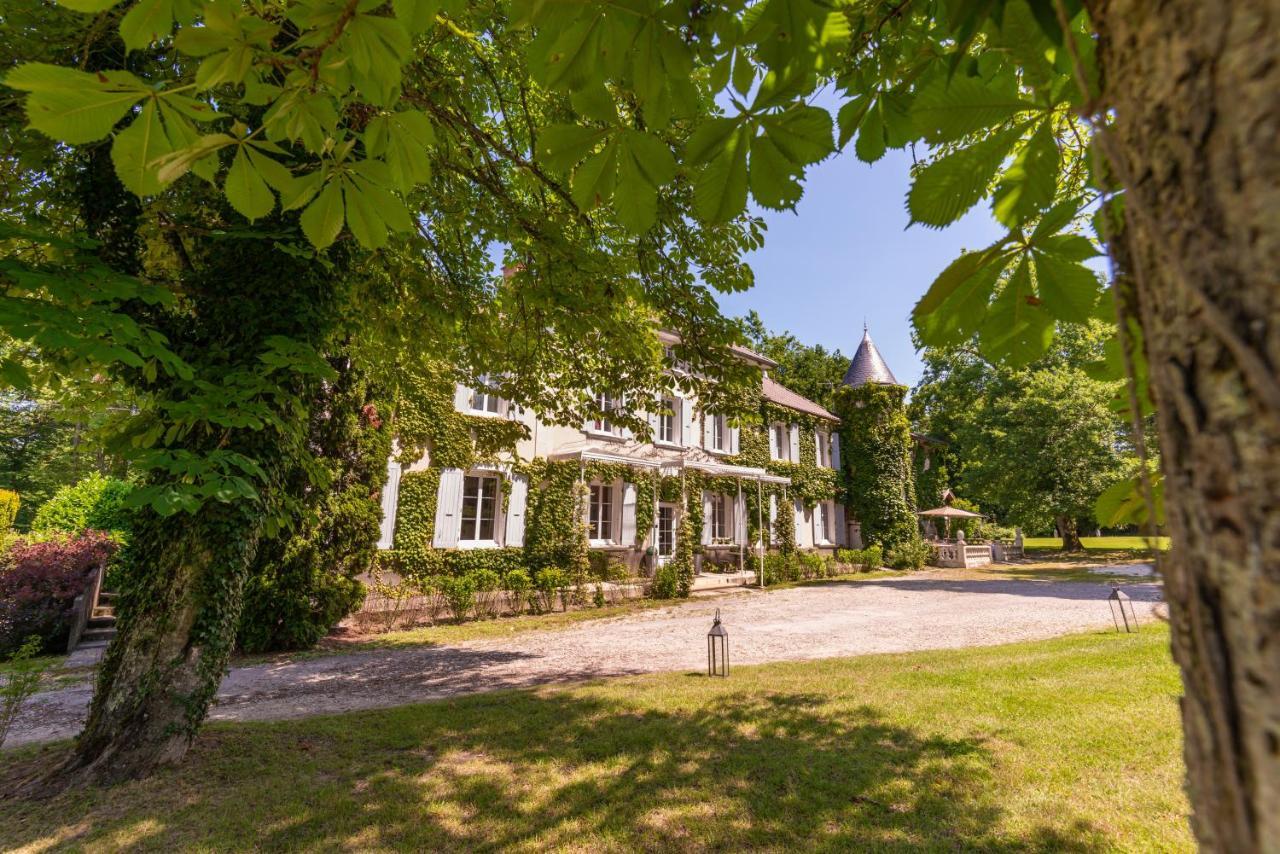Chateau Des Ayes - Chambres & Suites Saint-Étienne-de-Saint-Geoirs Zewnętrze zdjęcie