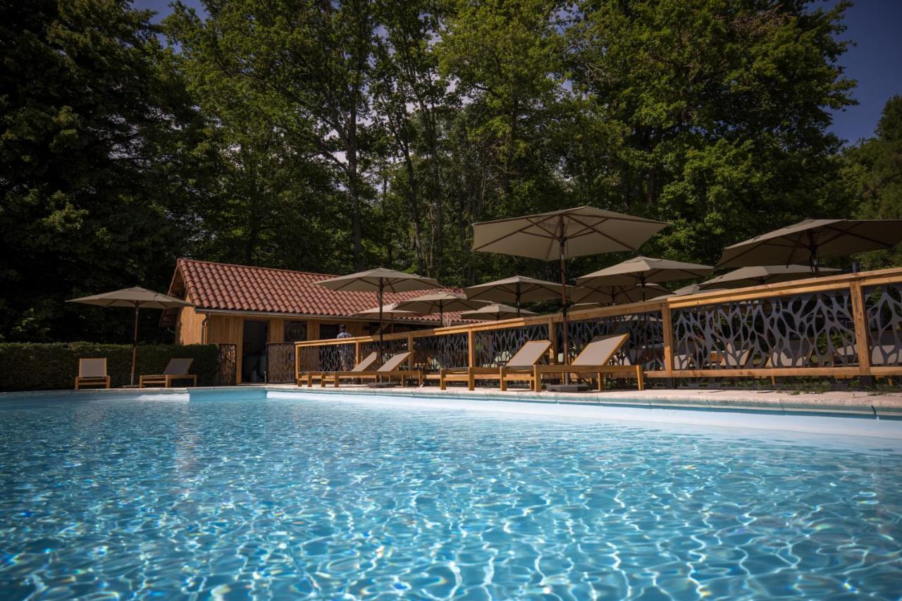 Chateau Des Ayes - Chambres & Suites Saint-Étienne-de-Saint-Geoirs Zewnętrze zdjęcie