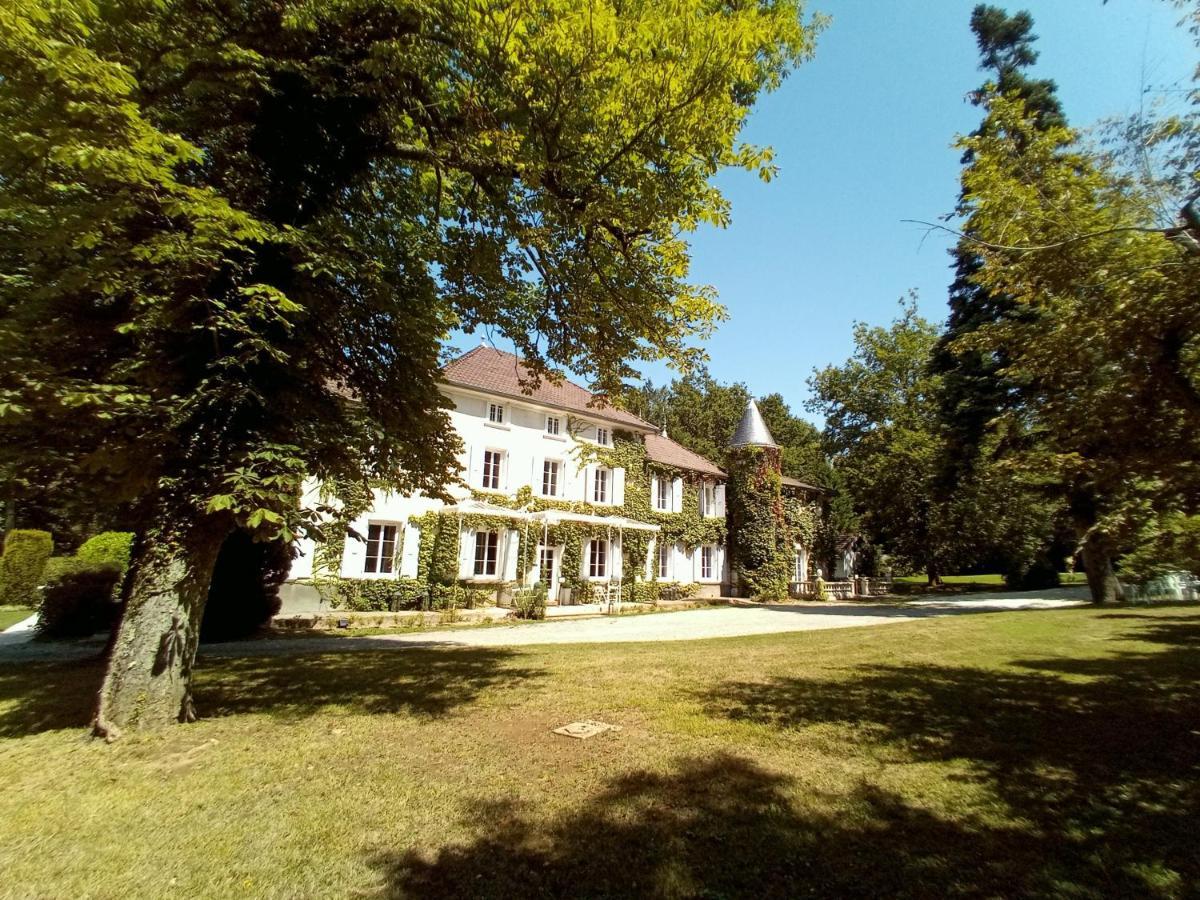 Chateau Des Ayes - Chambres & Suites Saint-Étienne-de-Saint-Geoirs Zewnętrze zdjęcie